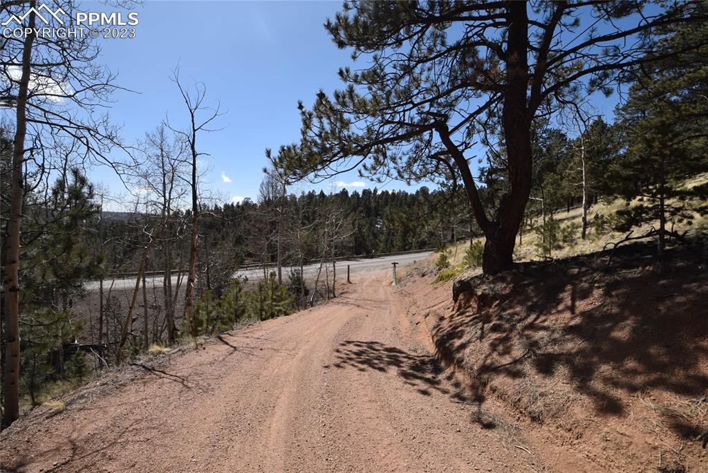 17618 Highway 67 Divide, CO 80814 - Photo 43 of 45