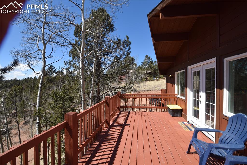 17618 Highway 67 Divide, CO 80814 - Photo 5 of 45