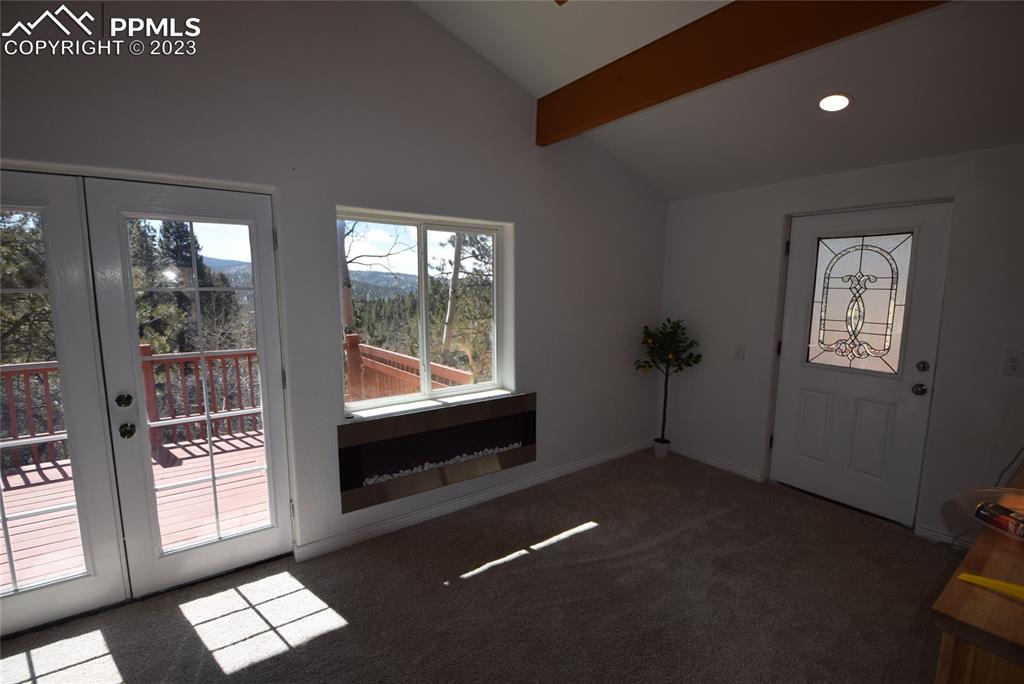 17618 Highway 67 Divide, CO 80814 - Photo 7 of 45