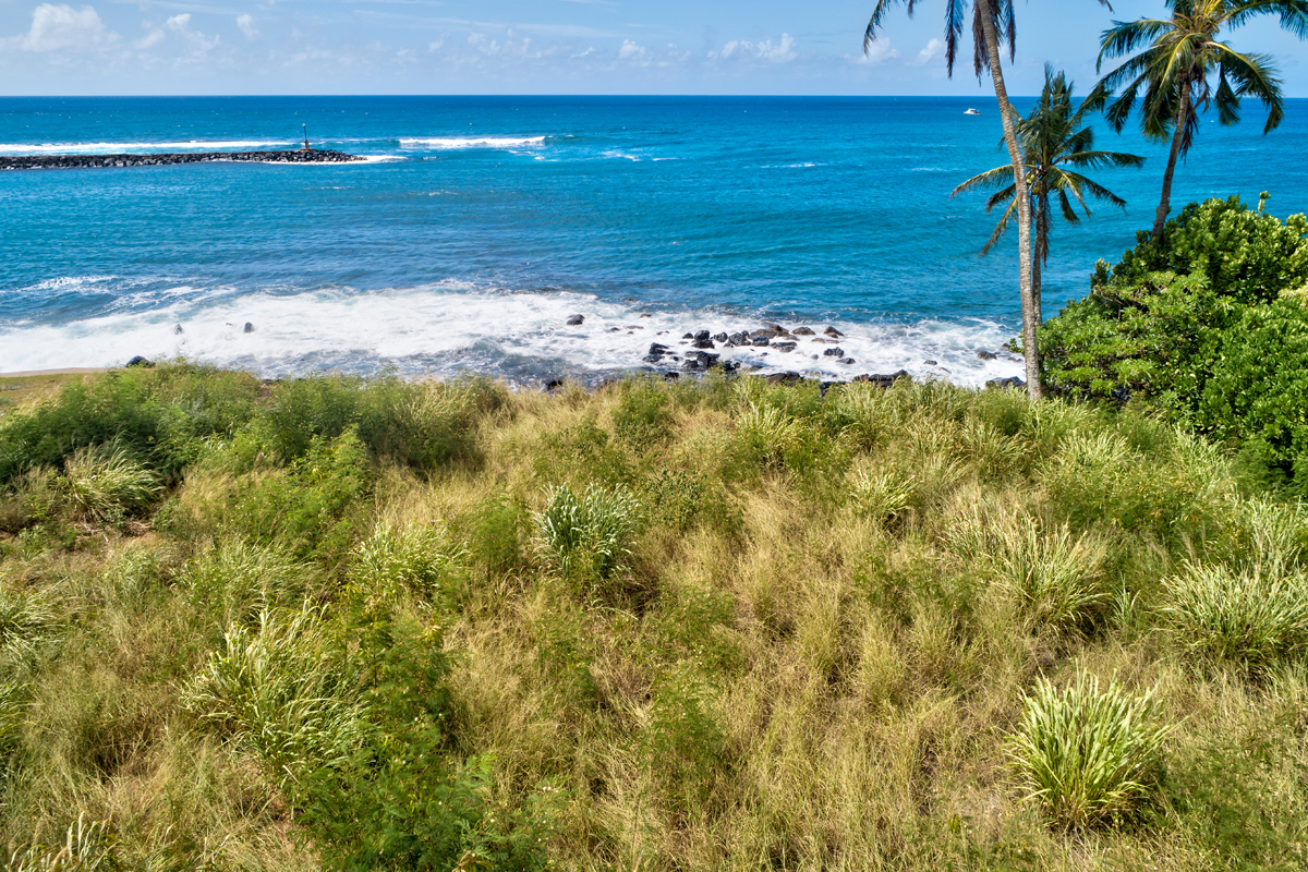 2 Lawai Road Koloa, HI 96756 - Photo 8 of 12 Gallery Image 8