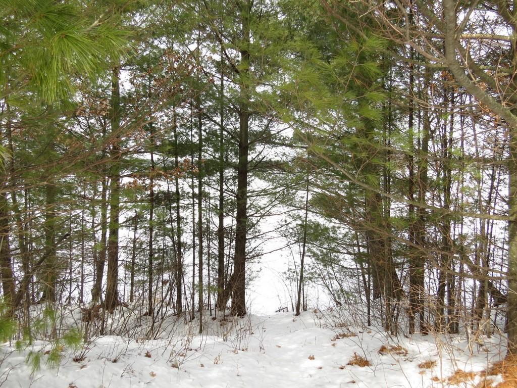 24383 Cranberry Marsh Road Webster, WI 54893 - Photo 1 of 1