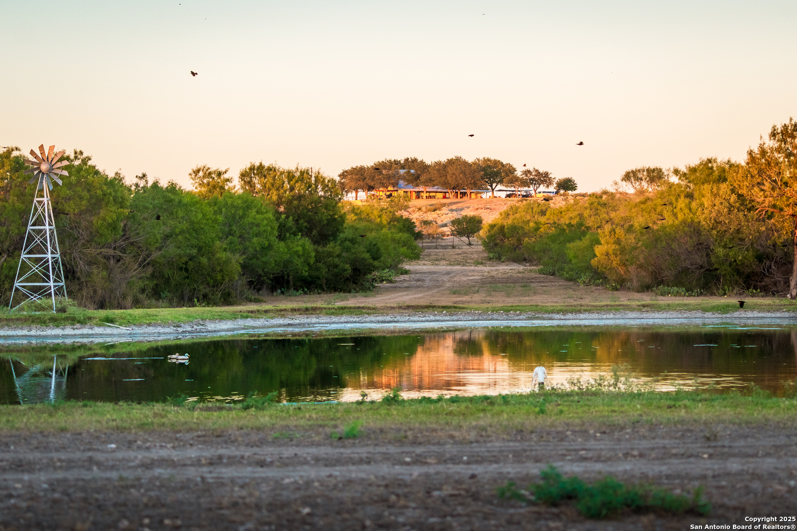 5529 Fm 140 Uvalde, TX 78801 - Photo 12 of 25 a view of swimming pool with a yard
