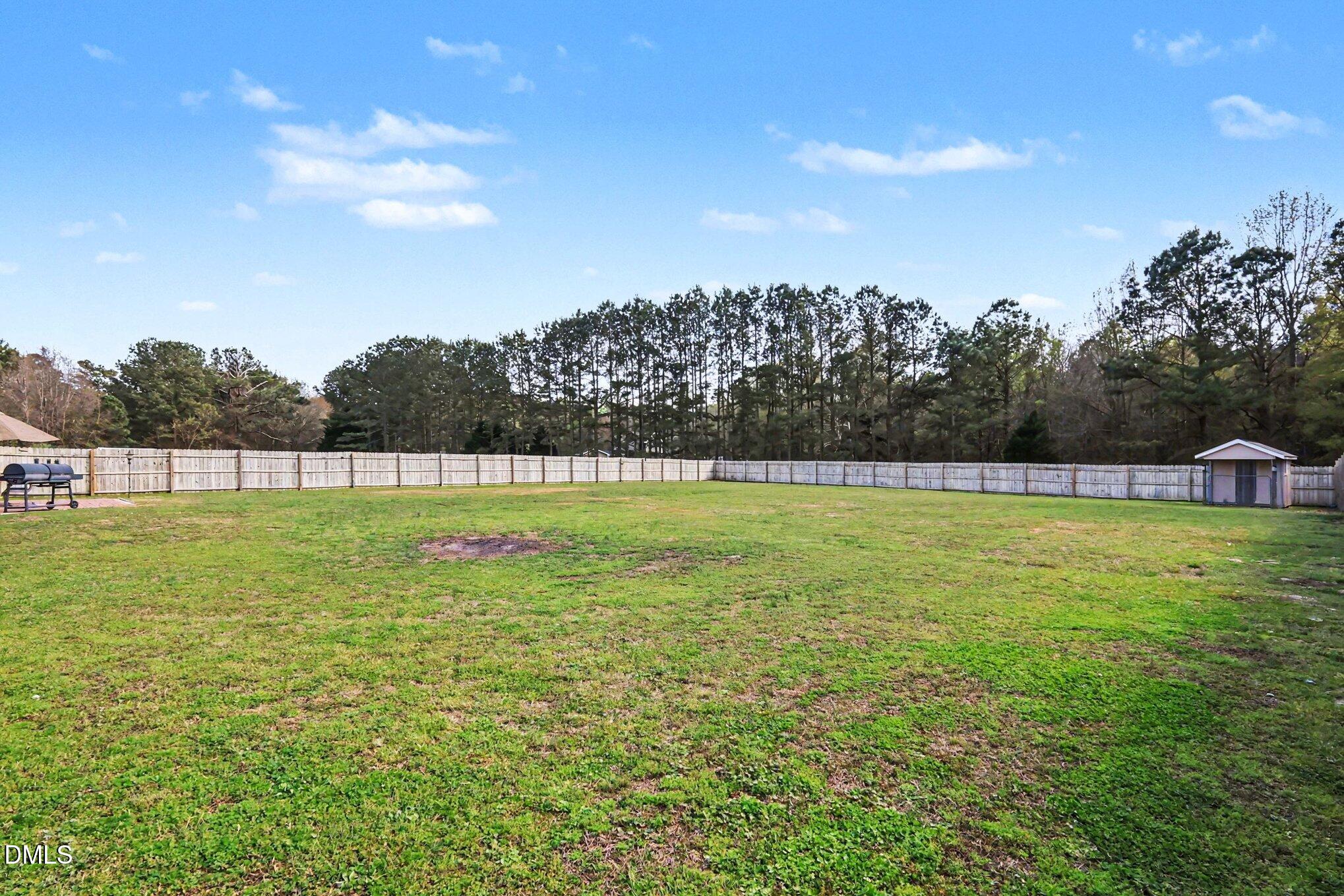 313 Blaze Ridge Drive Smithfield, NC 27577 - Photo 24 of 30 a view of a green field