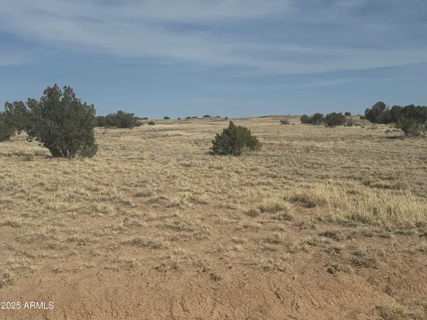 $25,000 | 33 County Rd N6211, Unit 71, St. Johns, AZ 85936