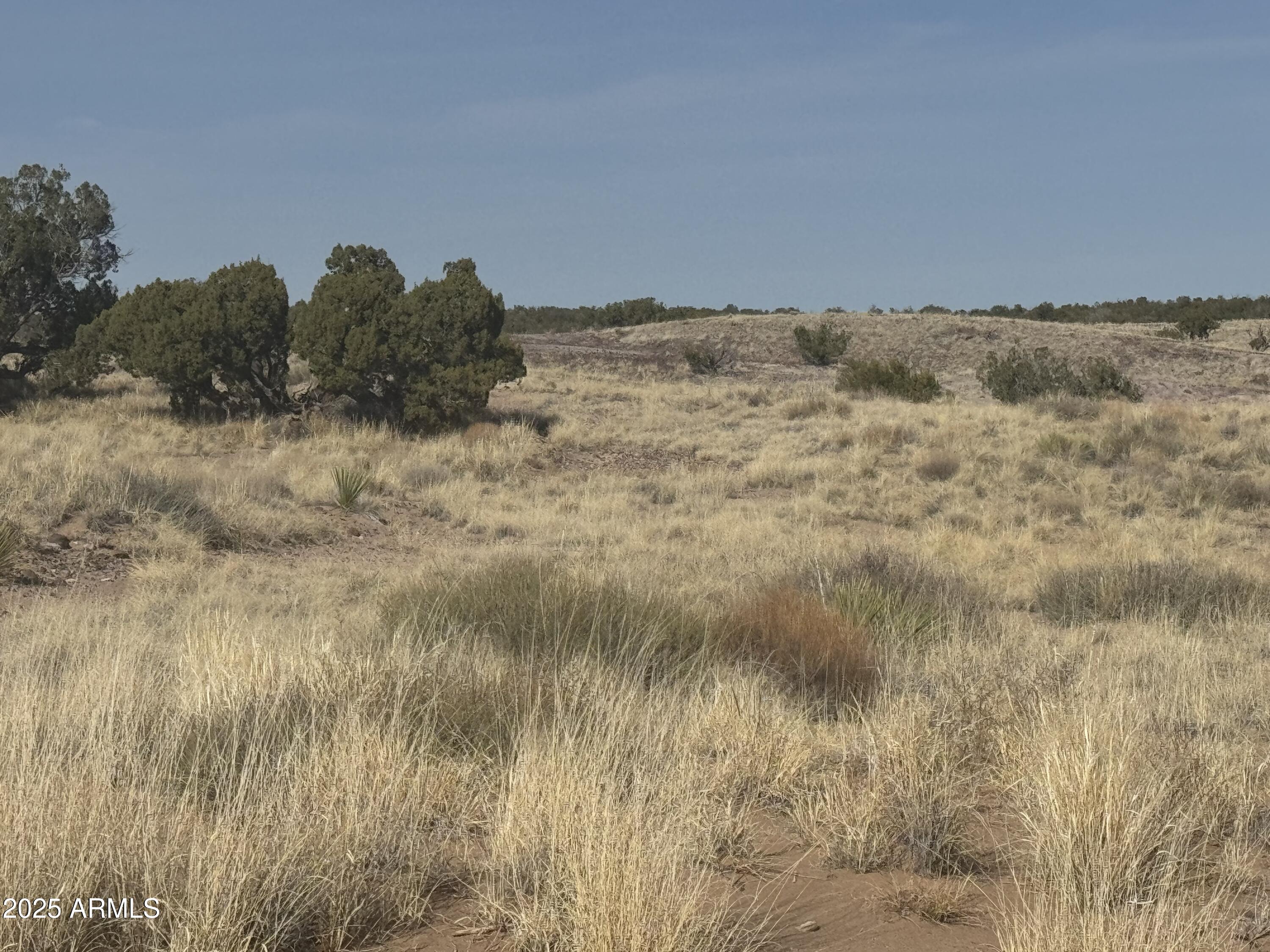 33 County Rd N6211, Unit 71 St. Johns, AZ 85936 - Photo 4 of 15 a view of ocean