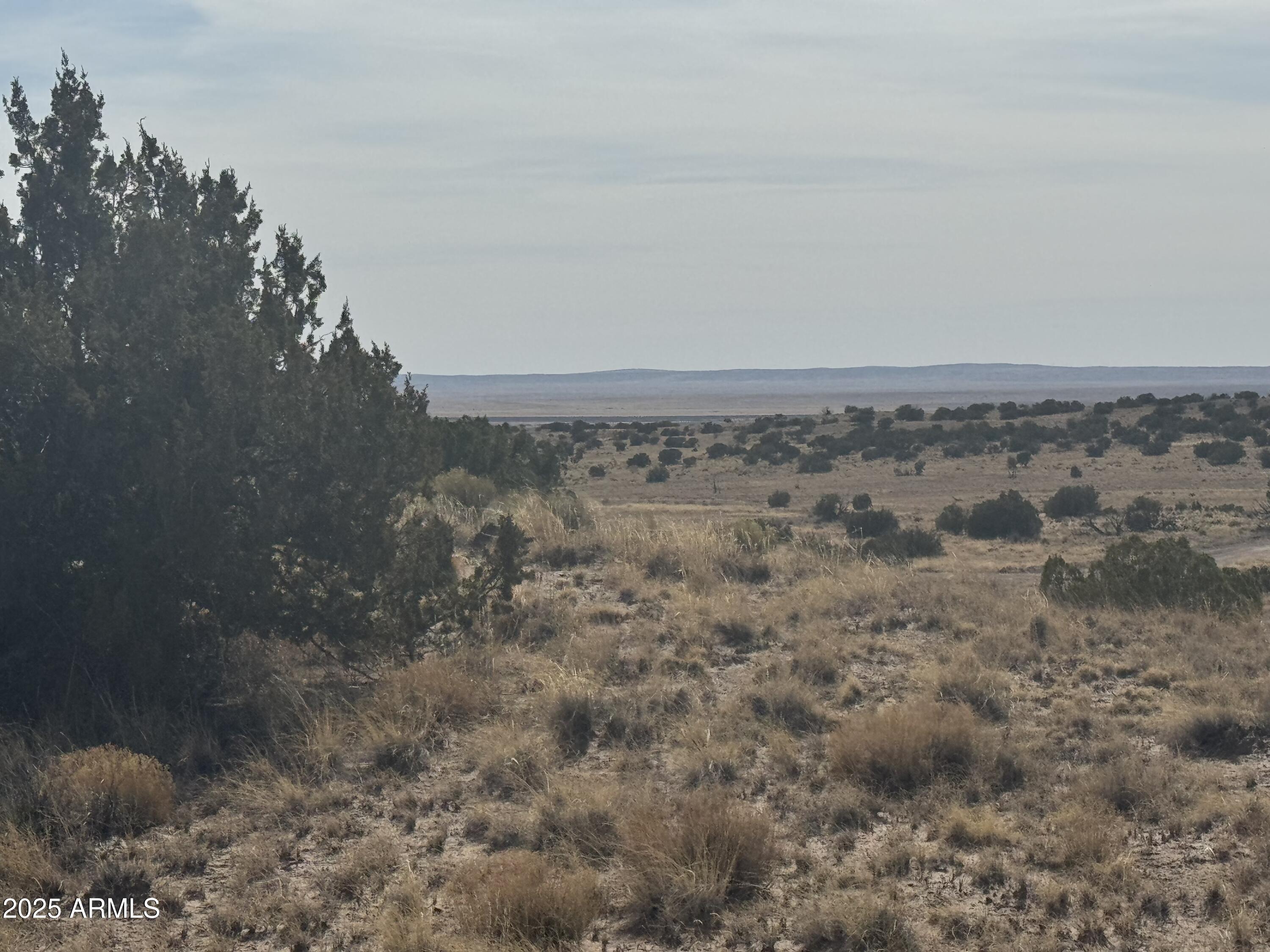 33 County Rd N6211, Unit 71 St. Johns, AZ 85936 - Photo 5 of 15 a view of a dry yard