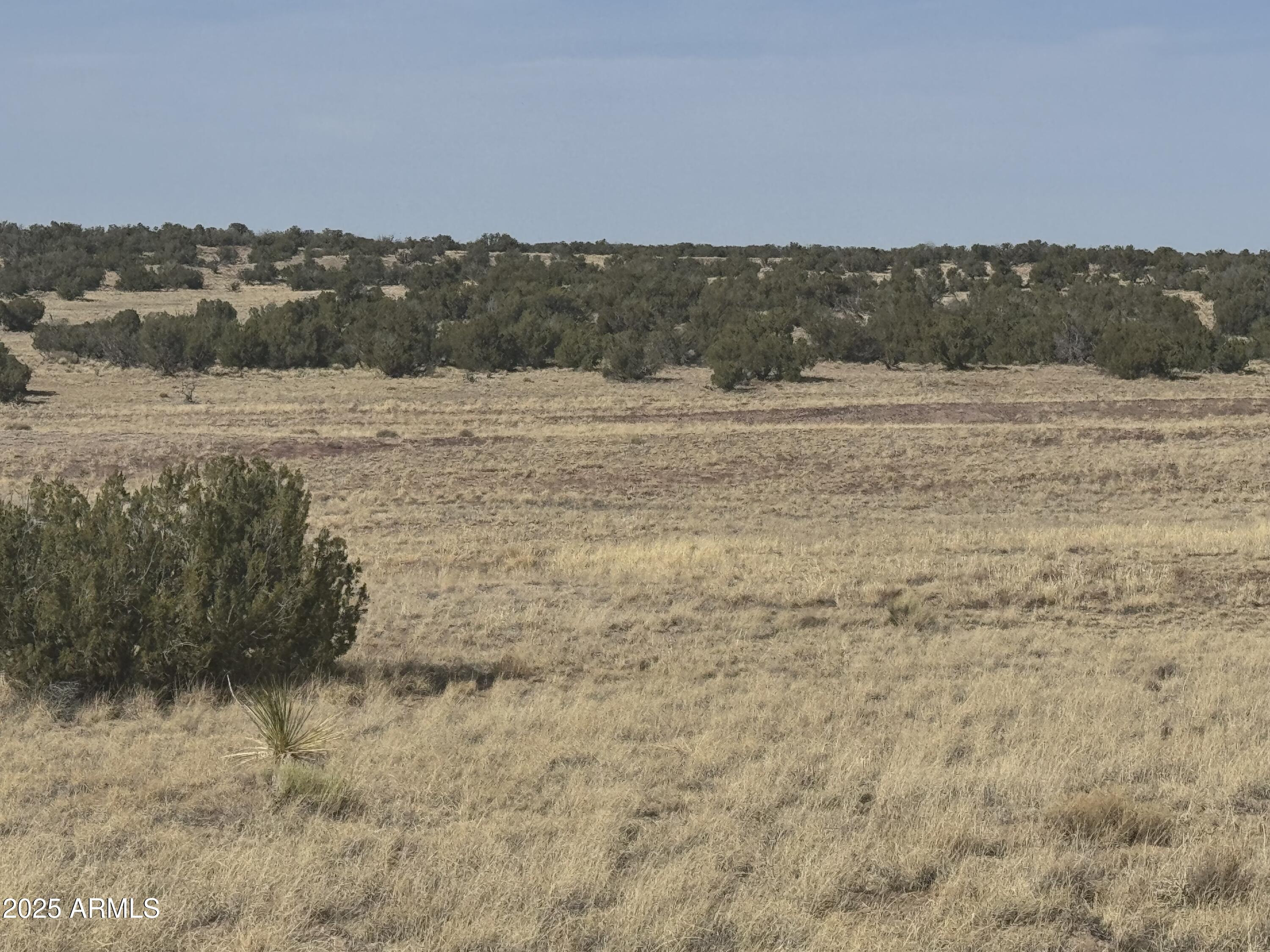 33 County Rd N6211, Unit 71 St. Johns, AZ 85936 - Photo 8 of 15 a view of lake view and mountain view