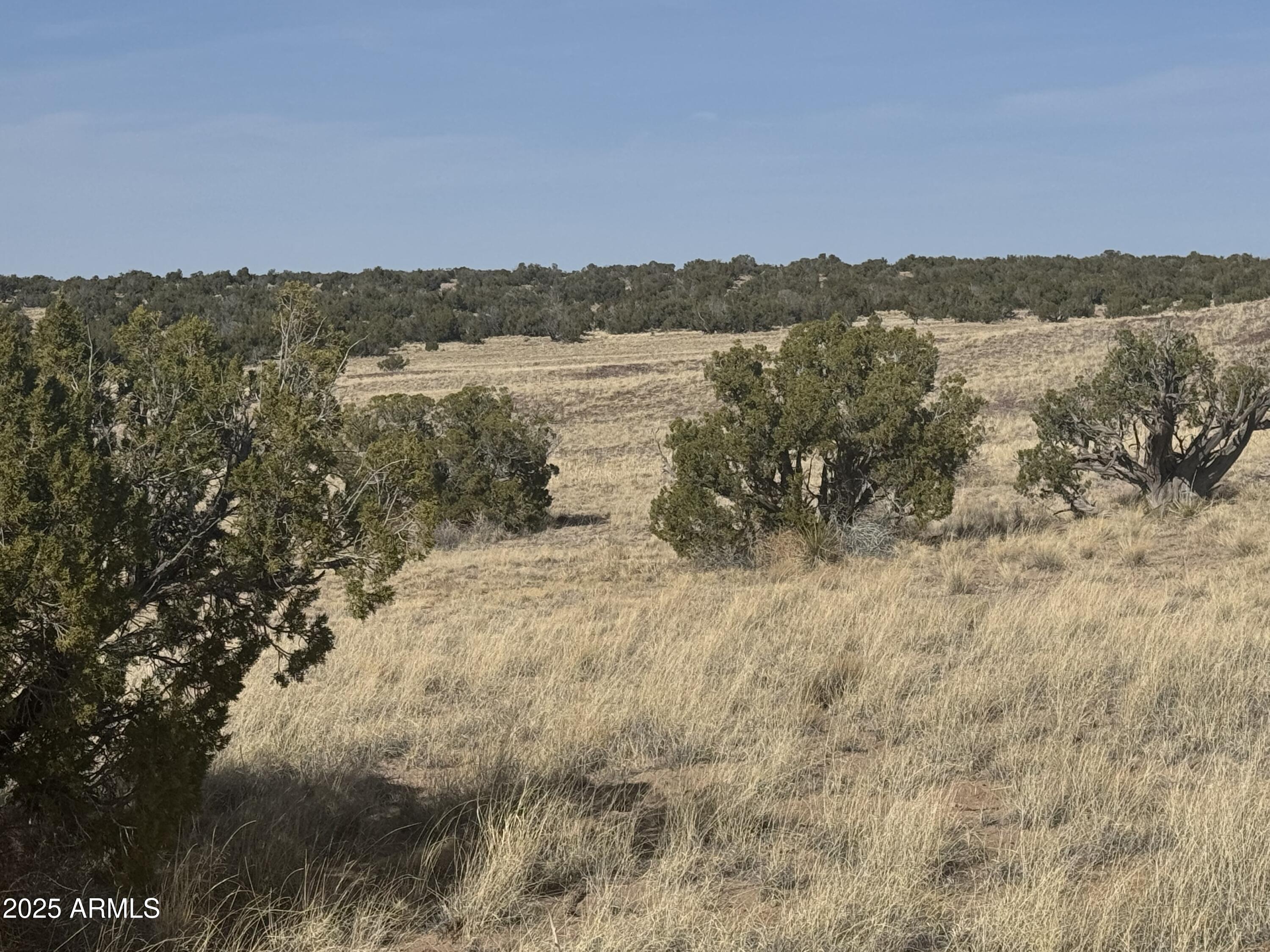 33 County Rd N6211, Unit 71 St. Johns, AZ 85936 - Photo 9 of 15 a view of lake with mountain