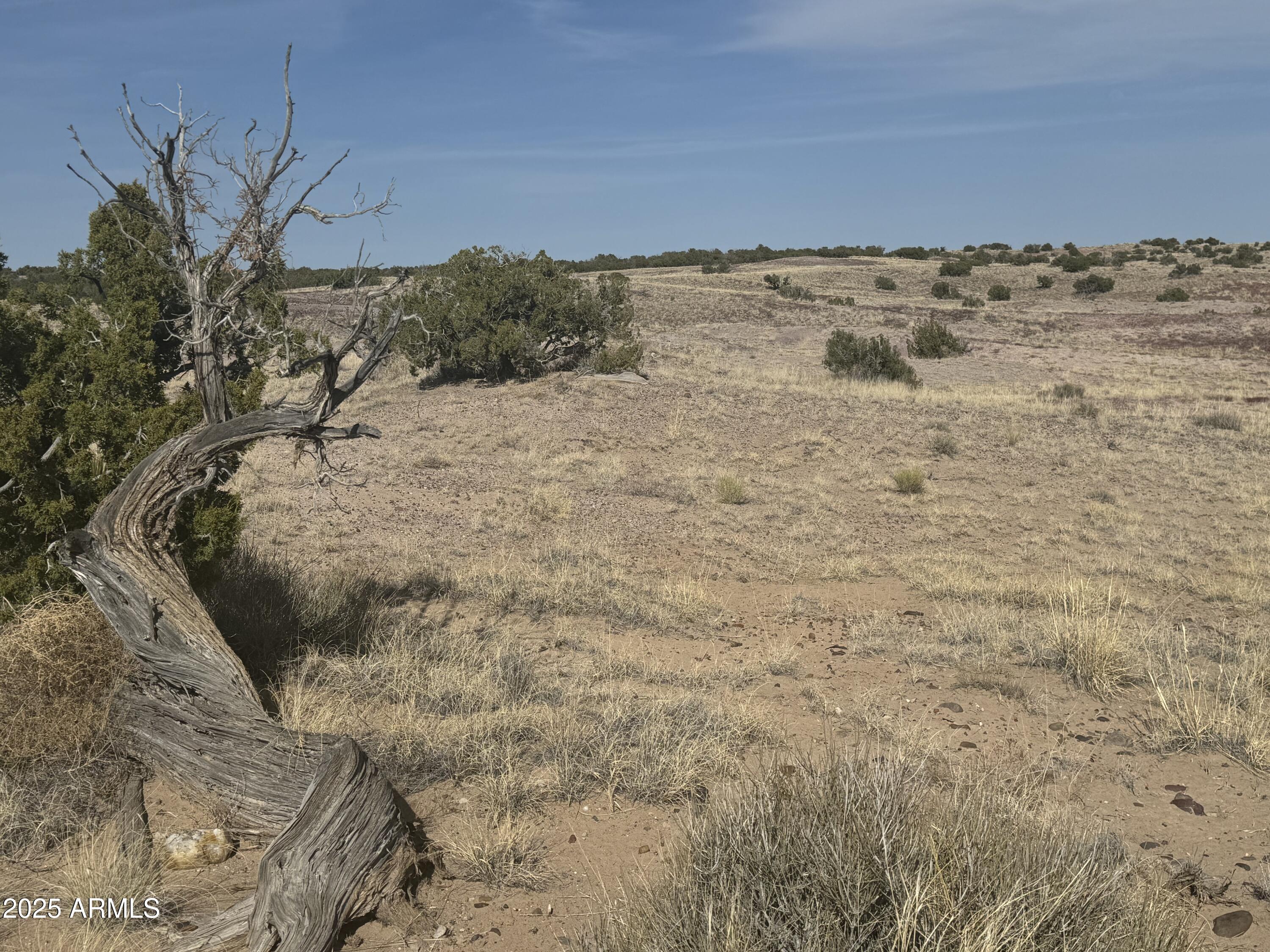 33 County Rd N6211, Unit 71 St. Johns, AZ 85936 - Photo 10 of 15 a view of ocean