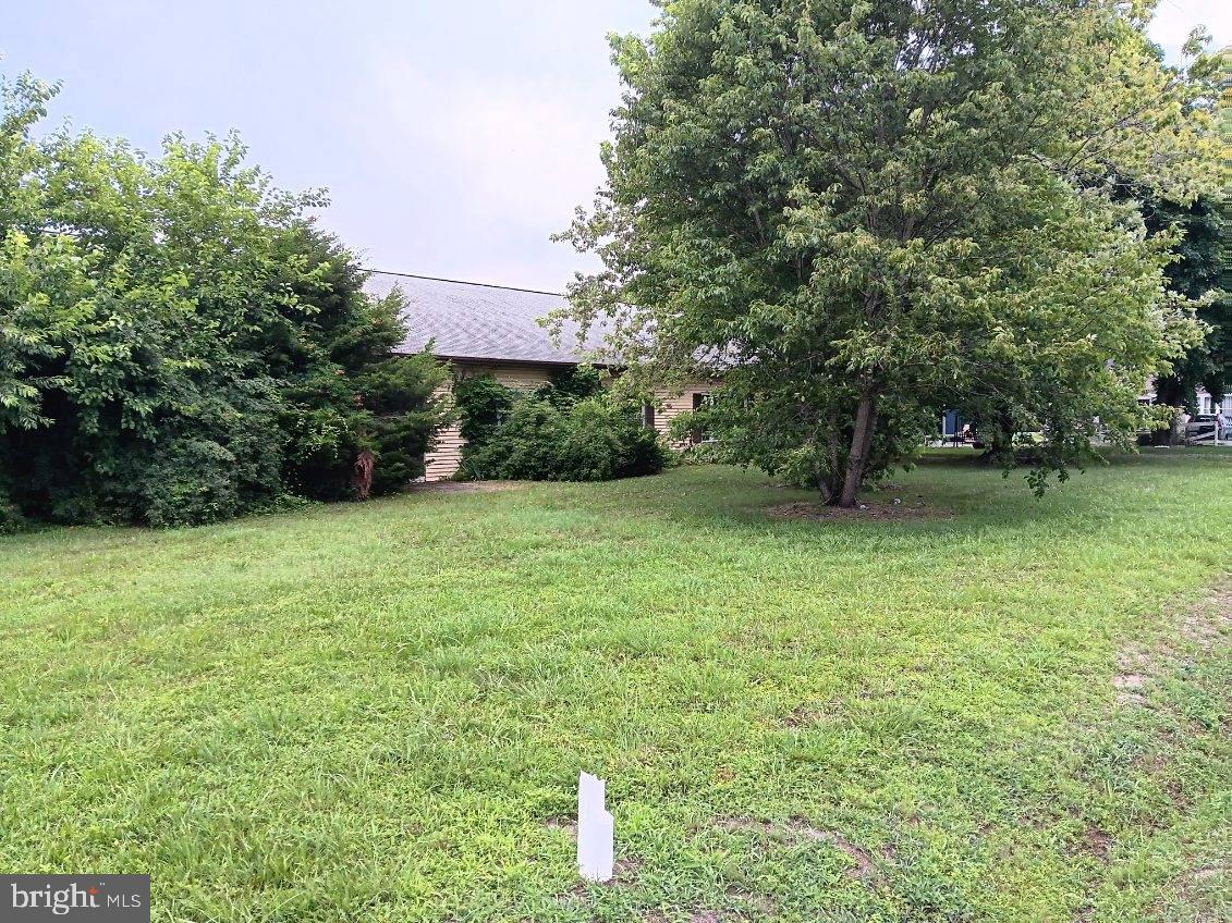 25548 Hill Road Greensboro, MD 21639 - Photo 5 of 11 a backyard of a house with lots of green space