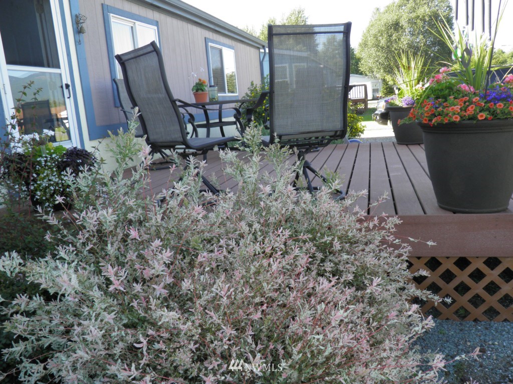 220 North Reed Street Sedro-Woolley, WA 98284 - Photo 15 of 19 Gallery Image 15