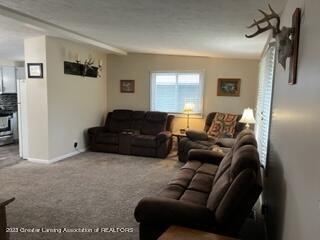 6340 Curtice Road Eaton Rapids, MI 48827 - Photo 11 of 23 6