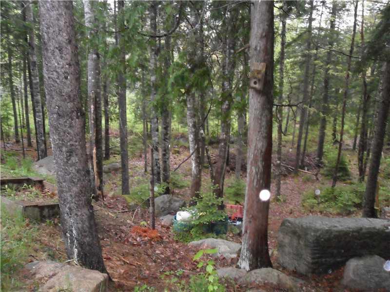 111 Pretty Marsh Road Mount Desert, ME 04660 - Photo 20 of 21 Yard/Garden. View from back of the home.