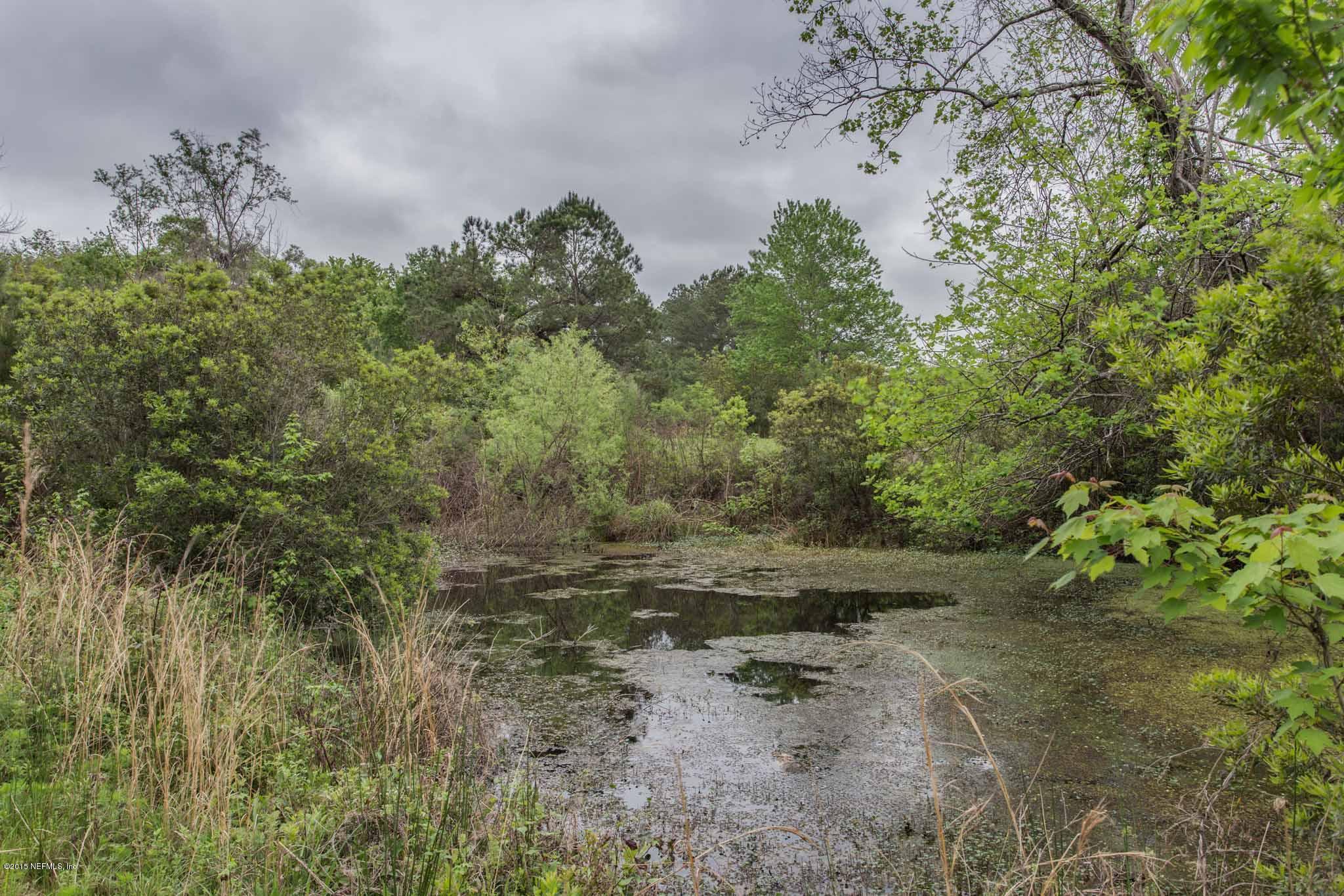 2835 Ravines Road Middleburg, FL 32068 - Photo 33 of 44 Water view in back yard