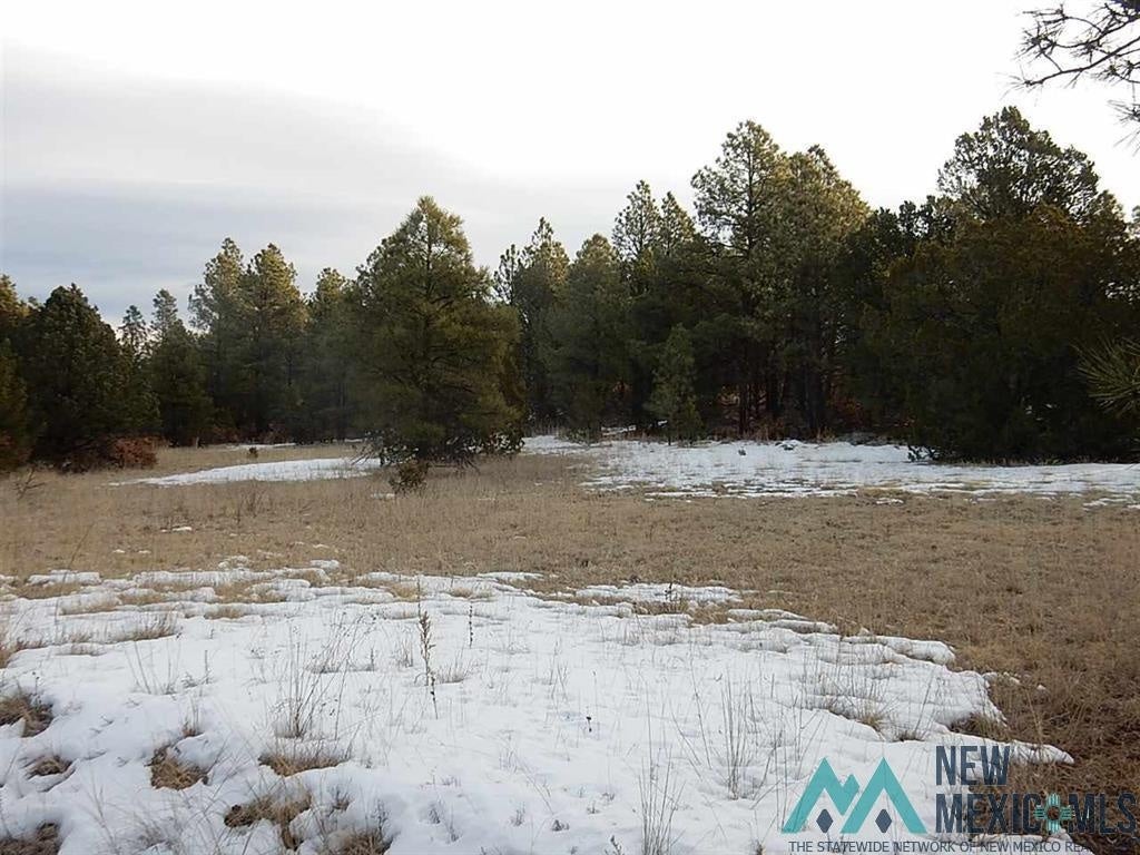13 County Road Buena Vista, NM 87712 - Photo 5 of 11 Gallery Image 5