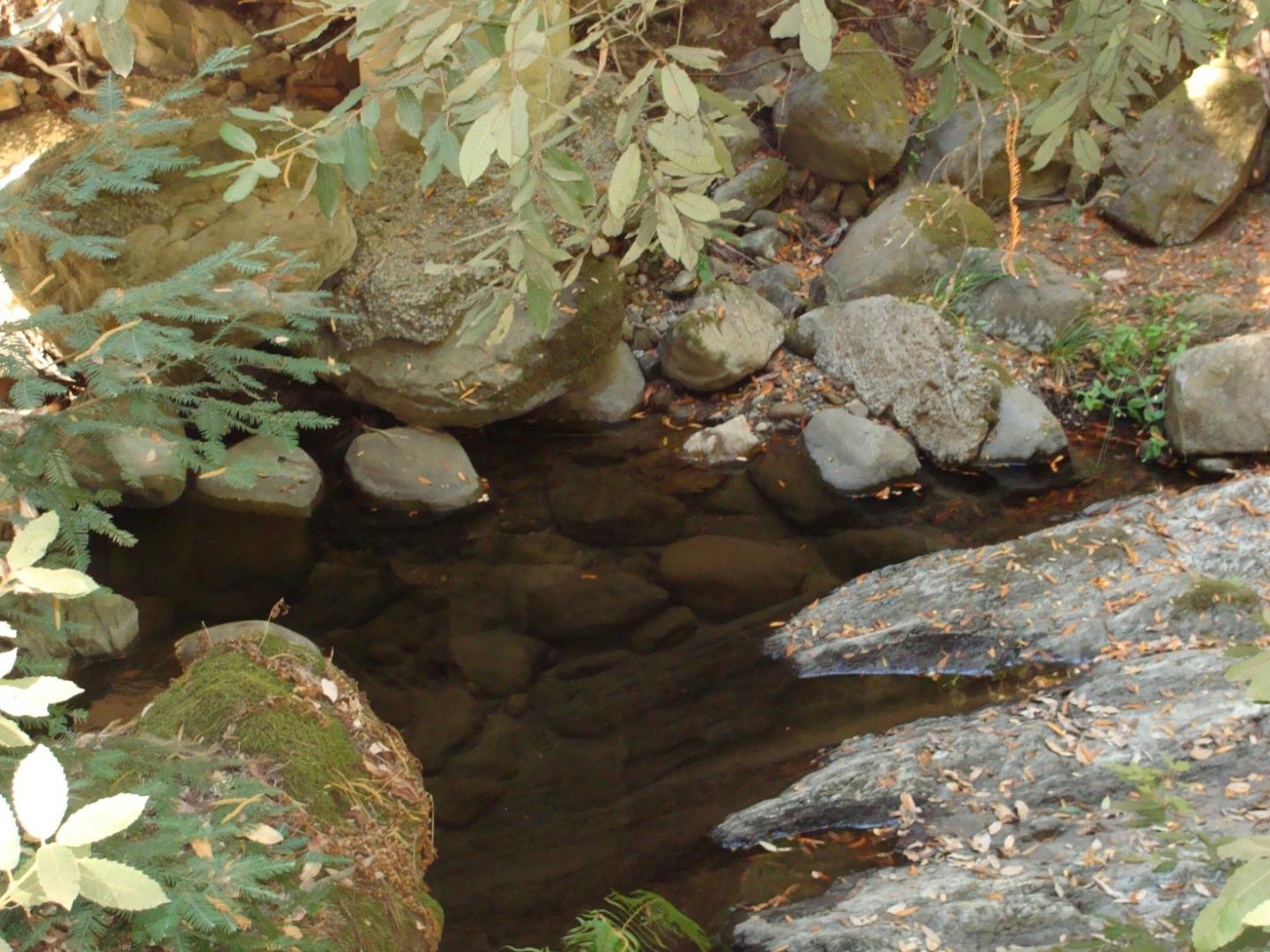 7150 Croy Road Morgan Hill, CA 95037 - Photo 46 of 67