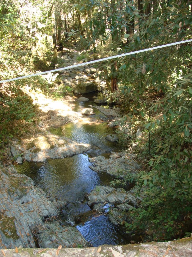 7150 Croy Road Morgan Hill, CA 95037 - Photo 48 of 67 a view of a yard