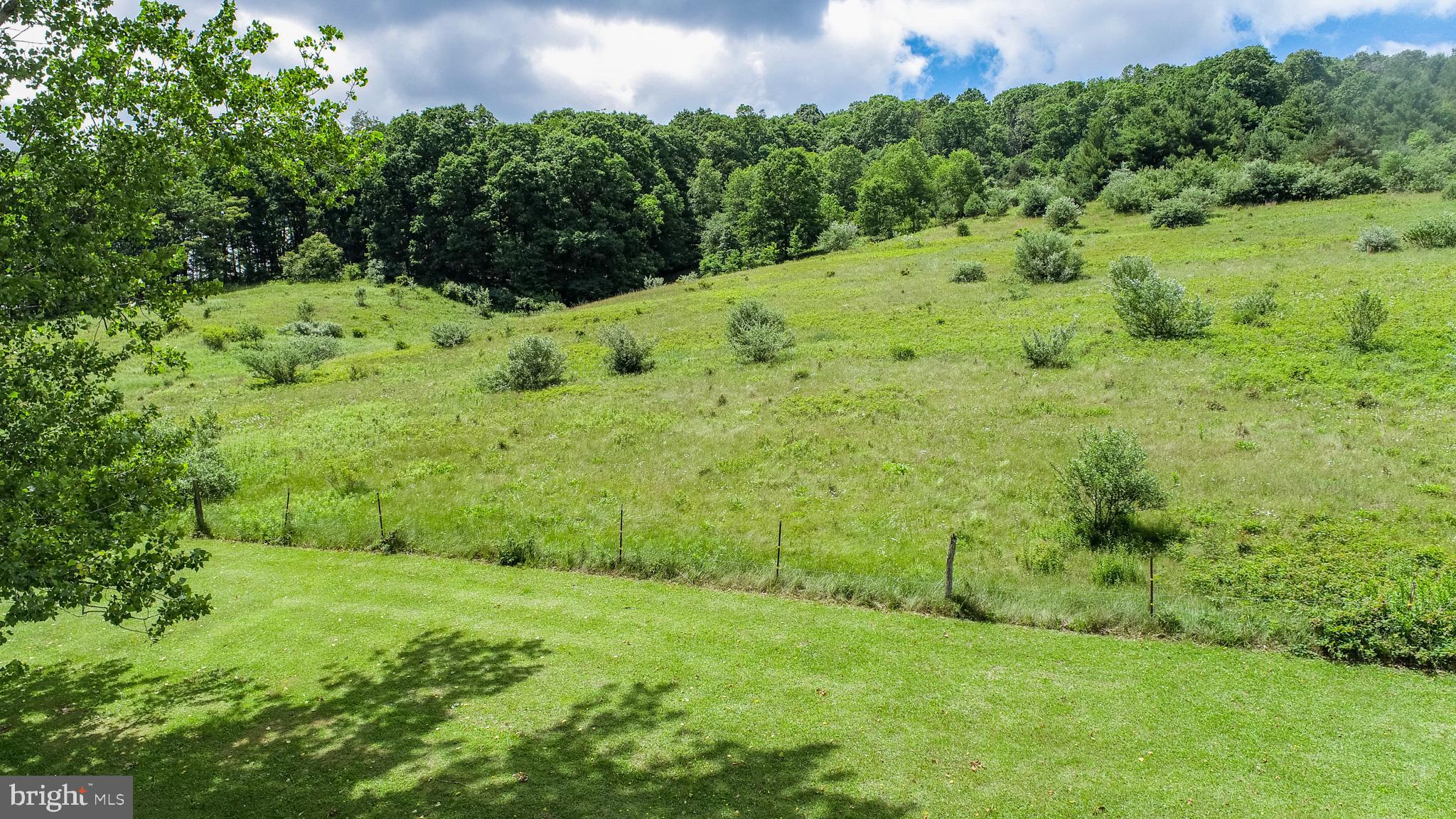 1651 Swanton Road Swanton, MD 21561 - Photo 73 of 82