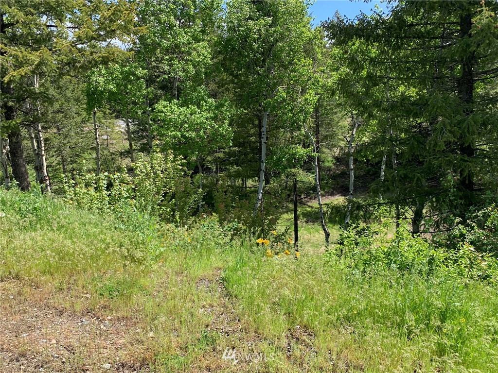 2 Pond Road Oroville, WA 98844 - Photo 23 of 29 Gallery Image 23