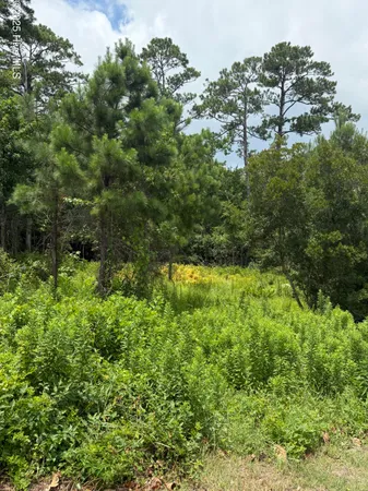 $64,200 | 1015 Meridian Drive, Sneads Ferry, NC 28460