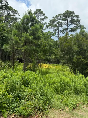 $64,200 | 1015 Meridian Drive, Sneads Ferry, NC 28460