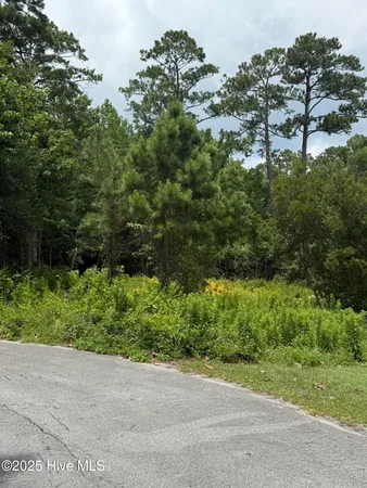 $64,200 | 1015 Meridian Drive, Sneads Ferry, NC 28460