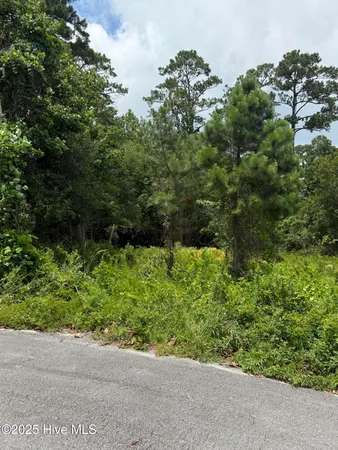 $64,200 | 1015 Meridian Drive, Sneads Ferry, NC 28460