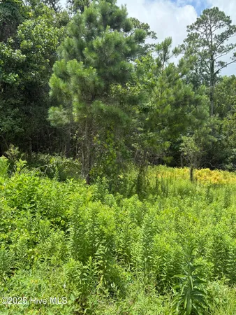 $64,200 | 1015 Meridian Drive, Sneads Ferry, NC 28460