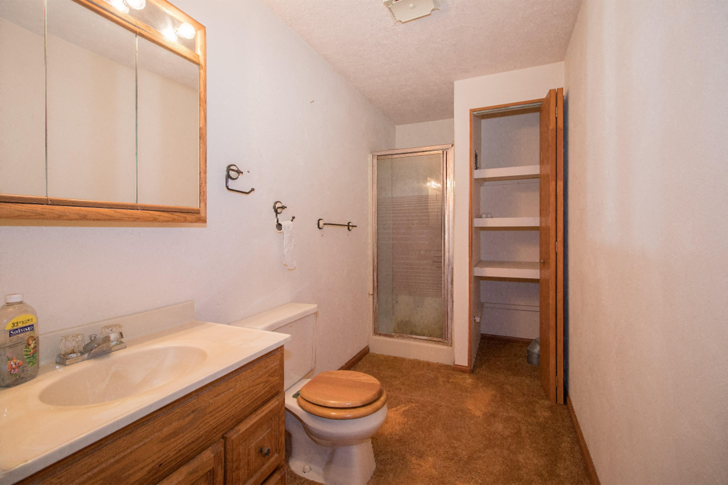 22100 Struwin Road Battle Creek, MI 49017 - Photo 18 of 27 Master Bath