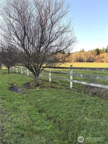 a view of outdoor space with trees