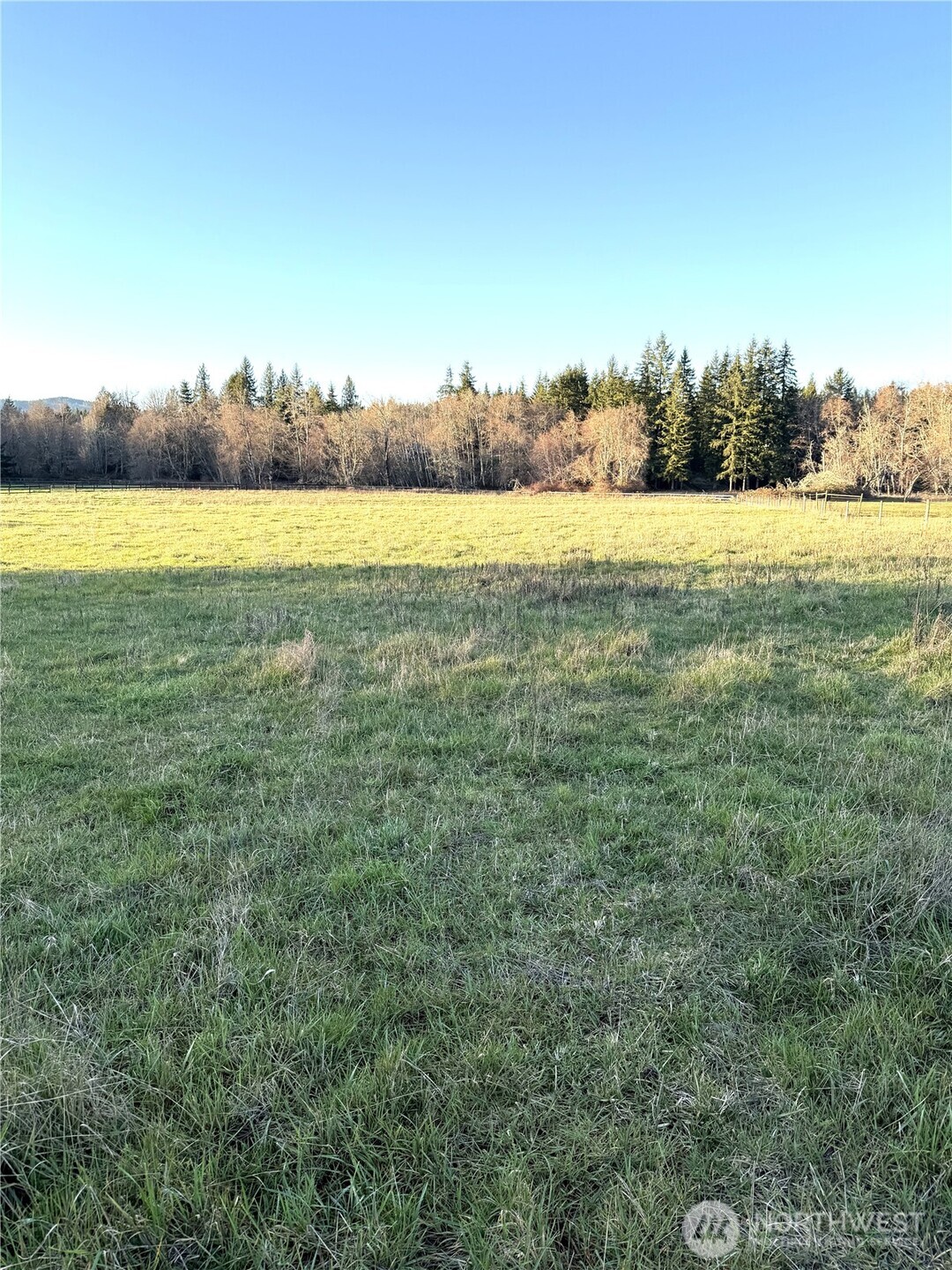 144 Lawrence Lane Rochester, WA 98579 - Photo 2 of 7