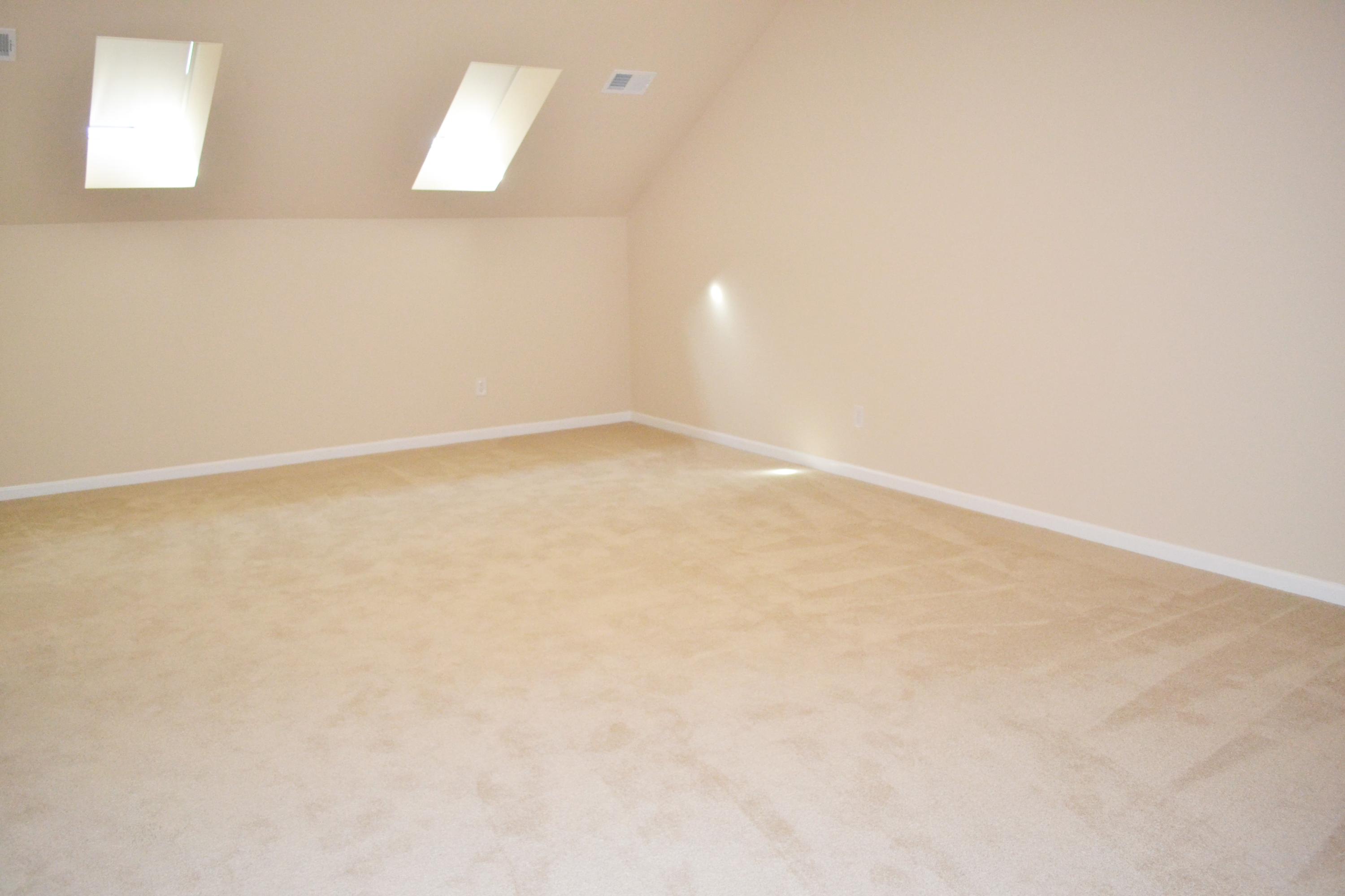 834 Rue Drive Charleston, SC 29414 - Photo 14 of 22 DSC_0134