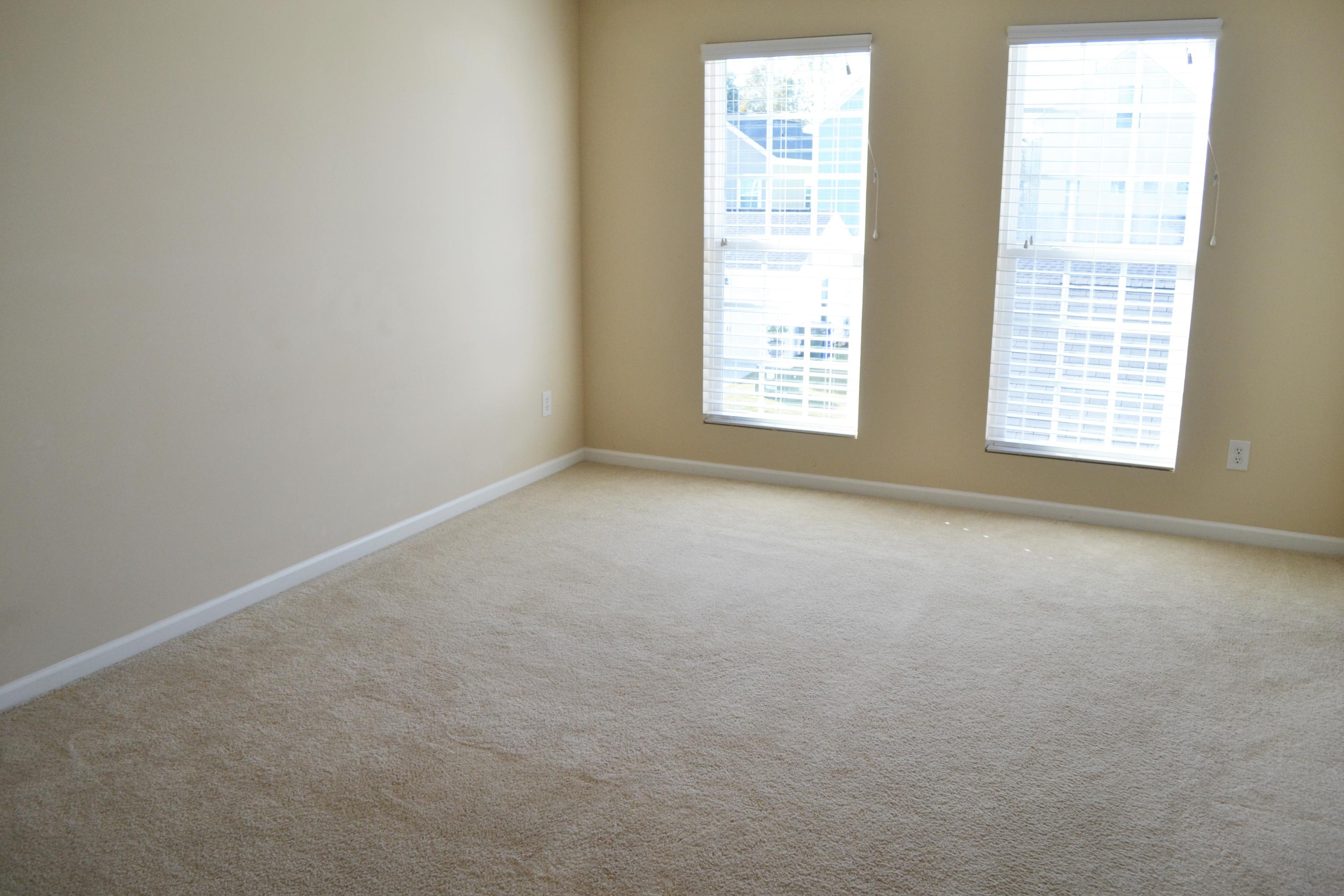 834 Rue Drive Charleston, SC 29414 - Photo 9 of 22 DSC_0130