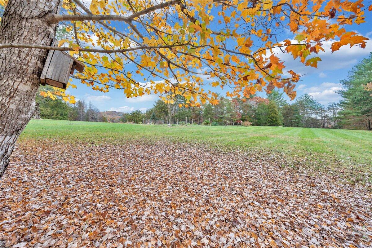 204 Raintree Lane Boones Mill, VA 24065 - Photo 37 of 58 a view of a field with an trees