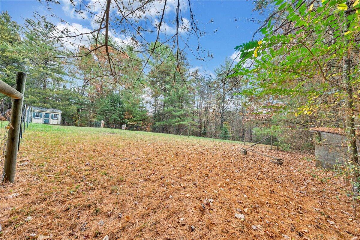 204 Raintree Lane Boones Mill, VA 24065 - Photo 40 of 58 a view of a yard with a tree