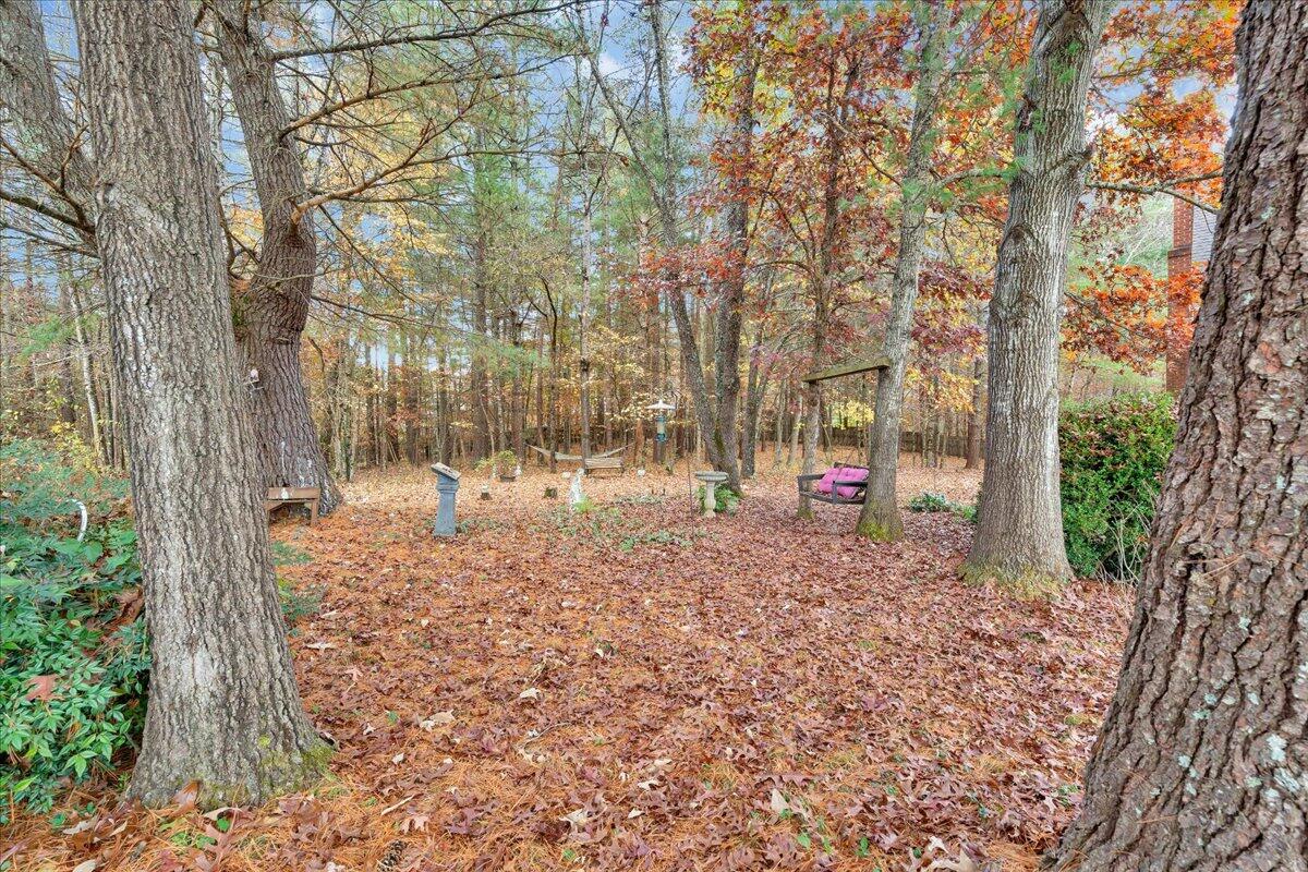 204 Raintree Lane Boones Mill, VA 24065 - Photo 42 of 58 a view of a trees with a yard