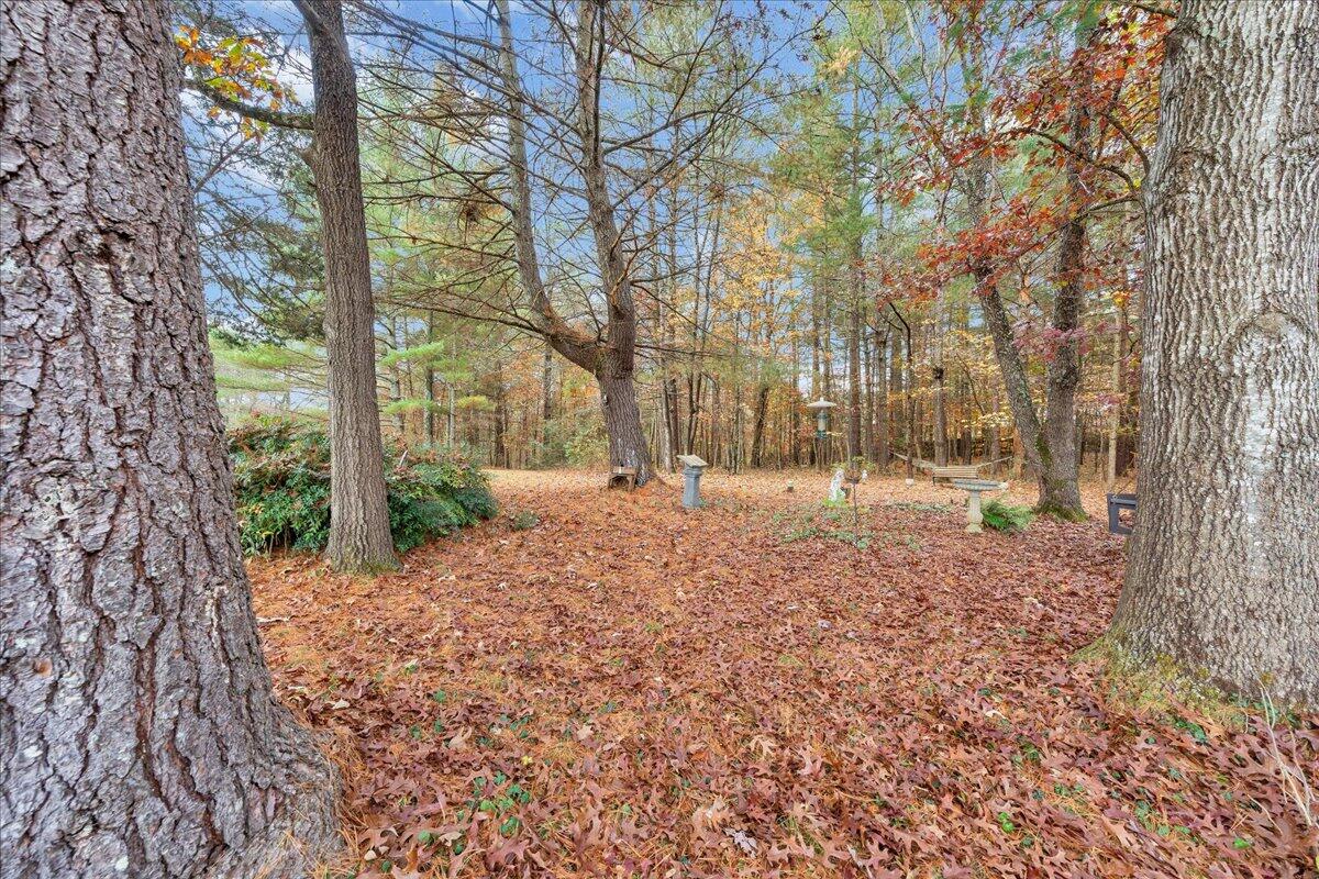 204 Raintree Lane Boones Mill, VA 24065 - Photo 43 of 58 43-MIB05496