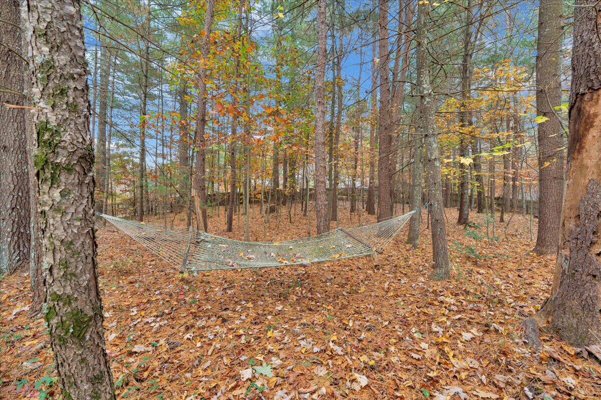 204 Raintree Lane Boones Mill, VA 24065 - Photo 44 of 58 44-MIB05493