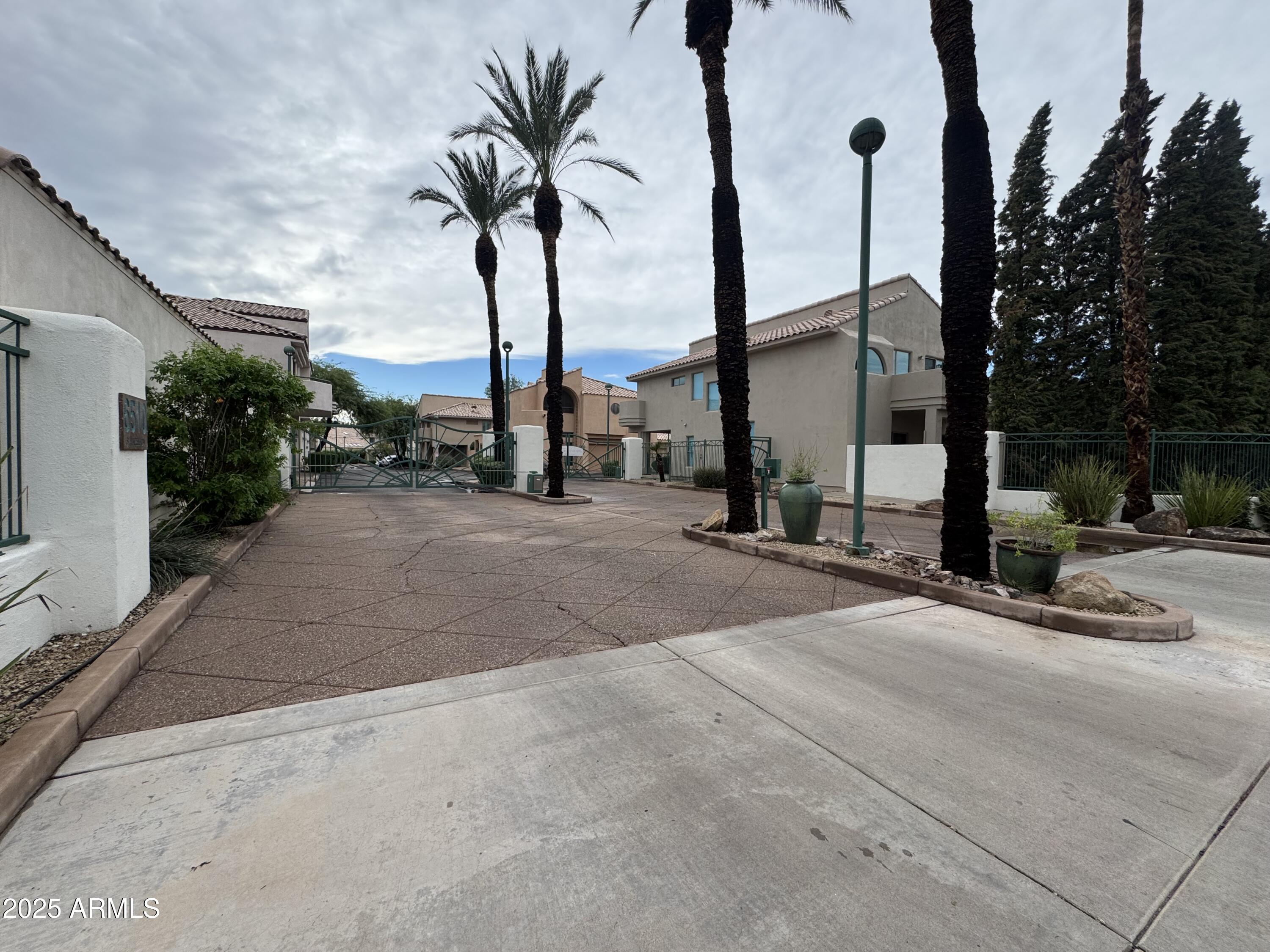 6510 South Hazelton Lane, Unit 142 Tempe, AZ 85283 - Photo 48 of 49 a row of palm trees sitting on a sidewalk in front of a building