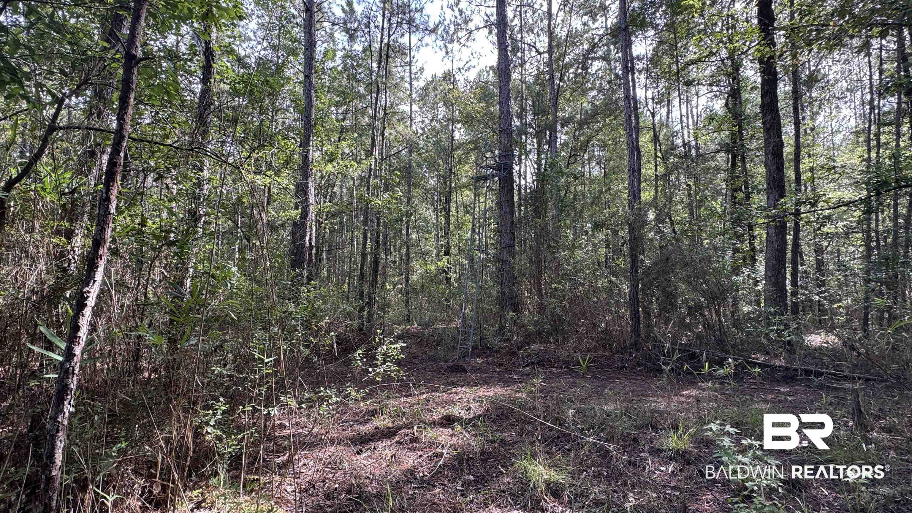 66409 James Road Stockton, AL 36579 - Photo 25 of 35
