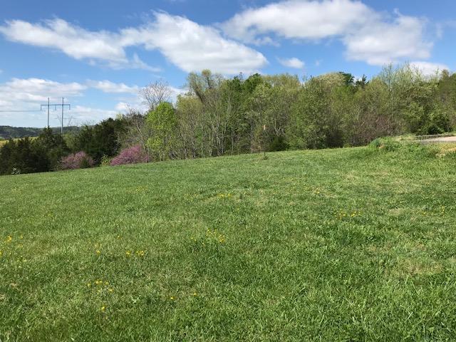 Lot 2 Deer Run Trail Bean Station, TN 37708 - Photo 13 of 20 IMG_2274