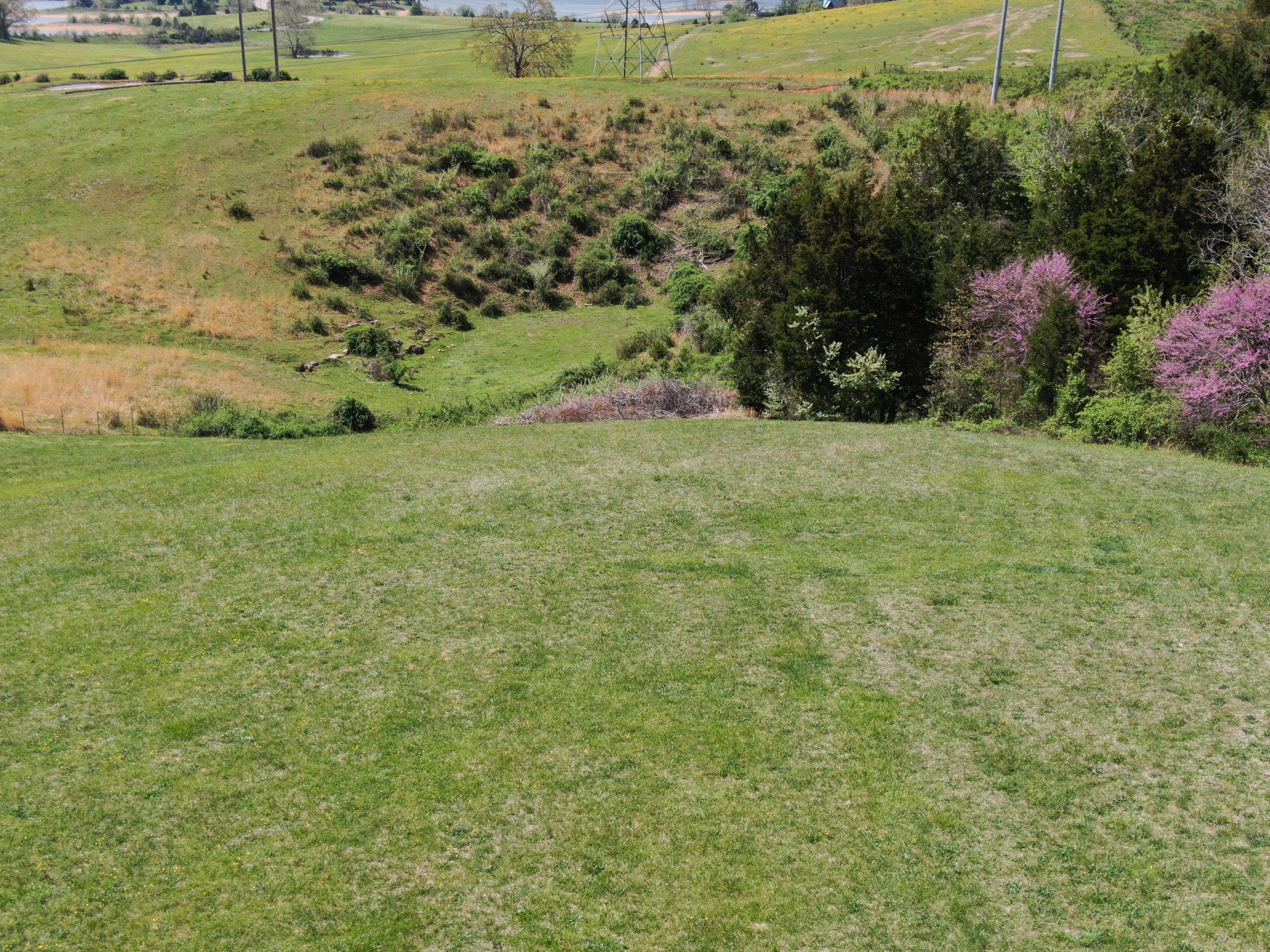 Lot 2 Deer Run Trail Bean Station, TN 37708 - Photo 10 of 20 DJI_0010