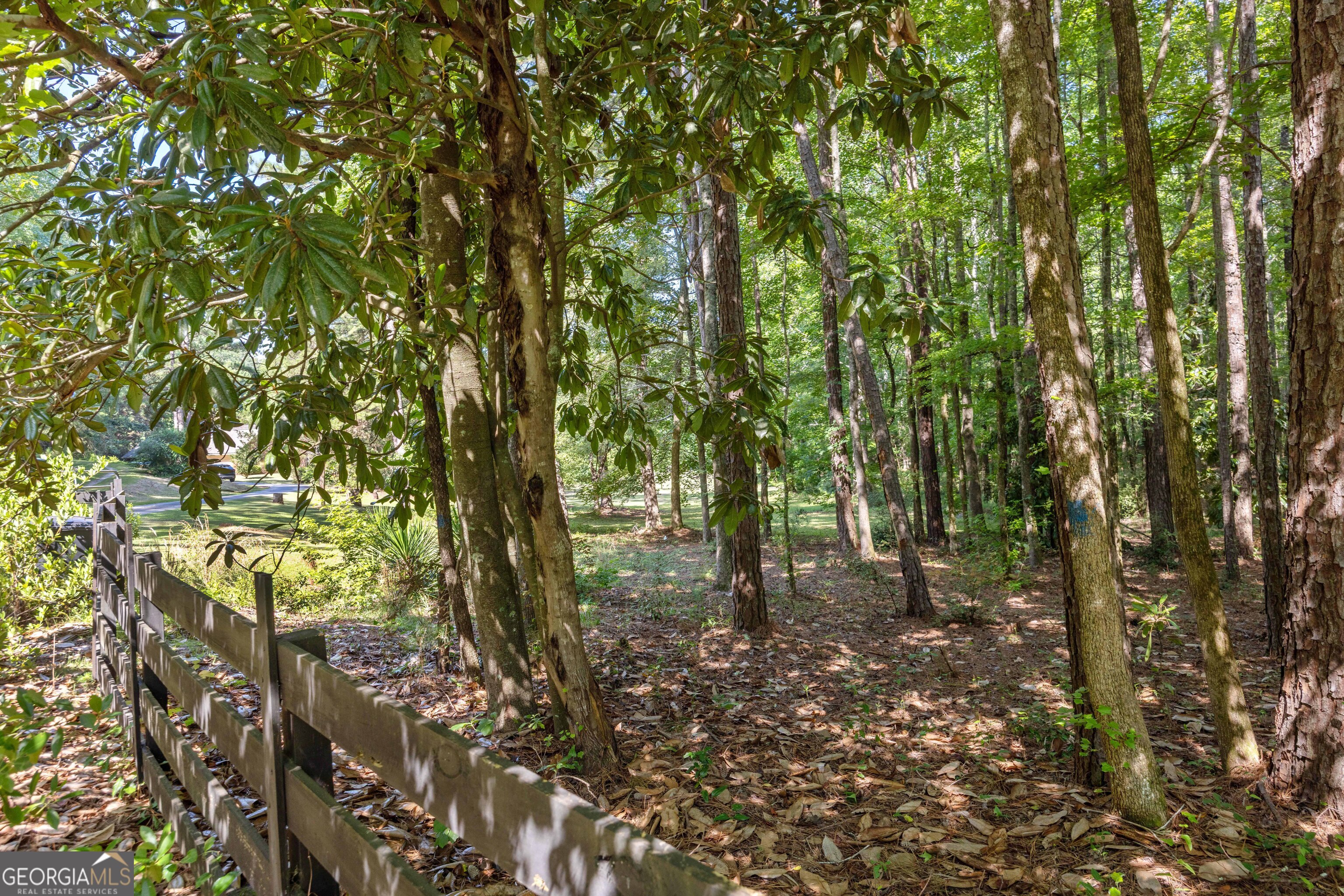 8100 Warm Springs Road Midland, GA 31820 - Photo 52 of 76