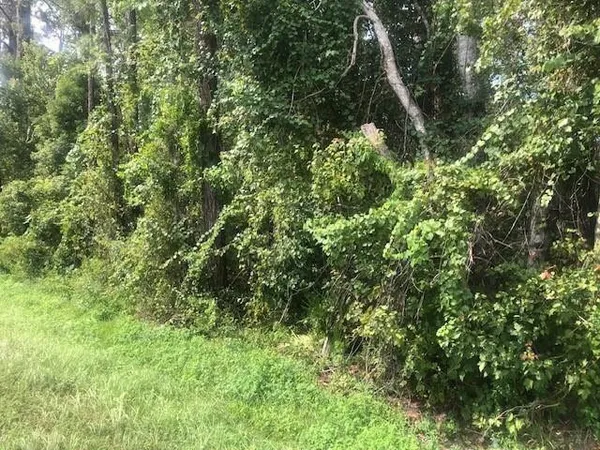 $29,500 | 0 State Road, Clermont, FL 34714