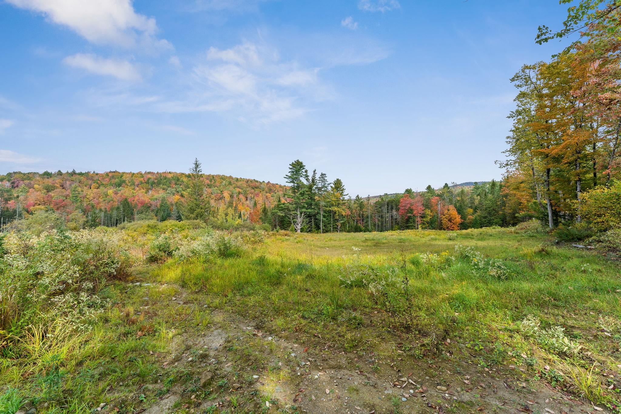 335 Calais Road Worcester, VT 05682 - Photo 14 of 31