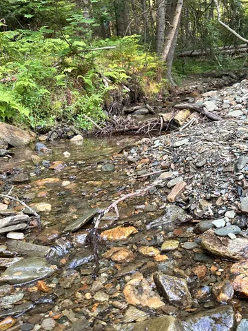 $228,000 | 335 Calais Road, Worcester, VT 05682