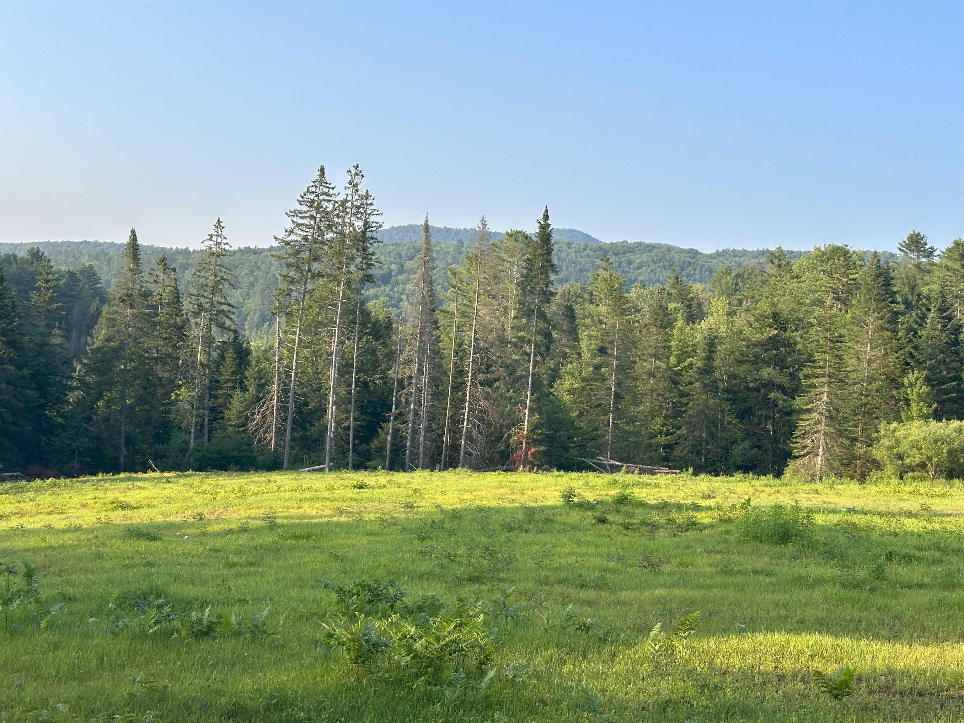 335 Calais Road Worcester, VT 05682 - Photo 27 of 31