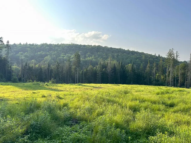 $228,000 | 335 Calais Road, Worcester, VT 05682