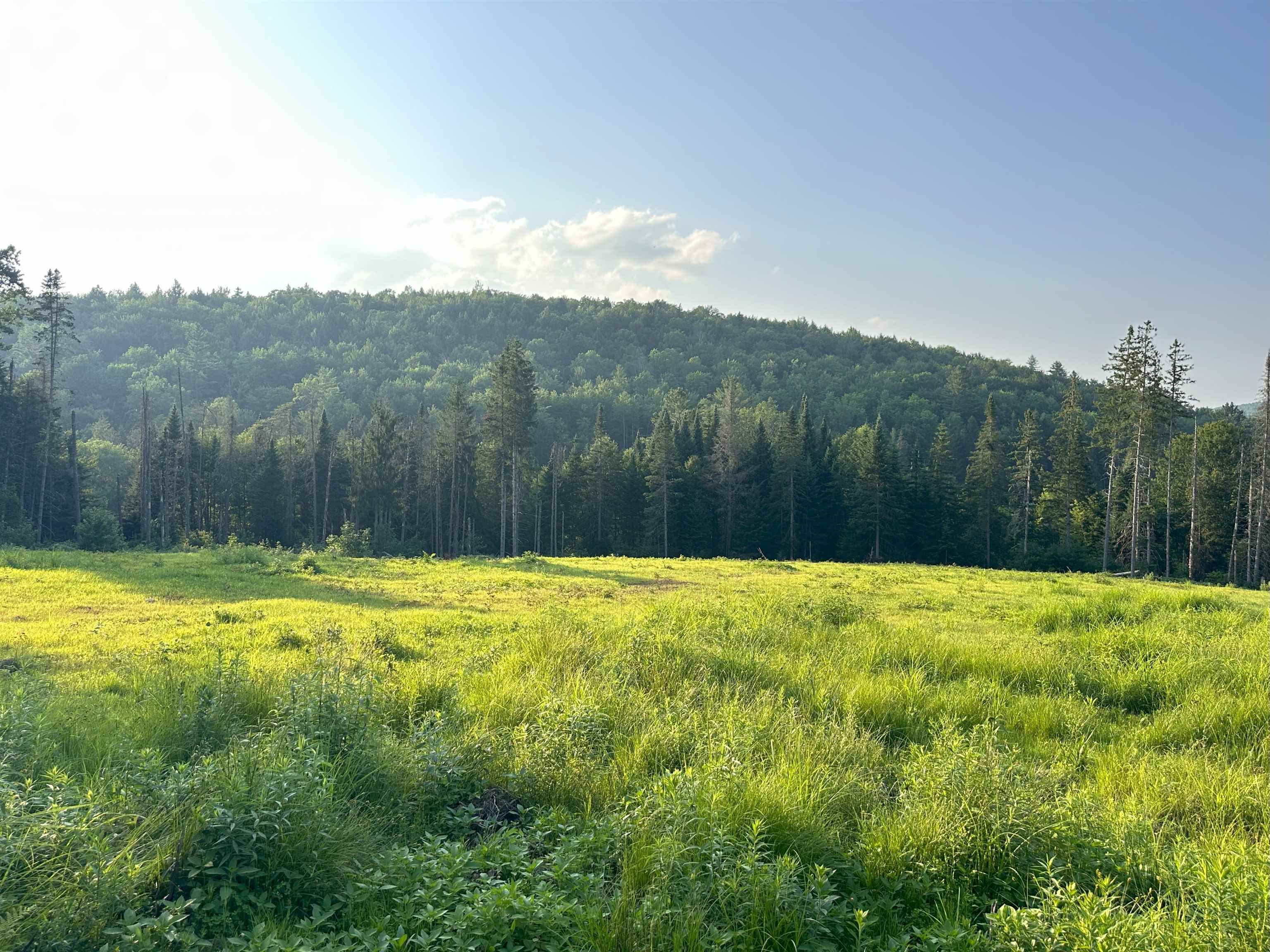335 Calais Road Worcester, VT 05682 - Photo 29 of 31
