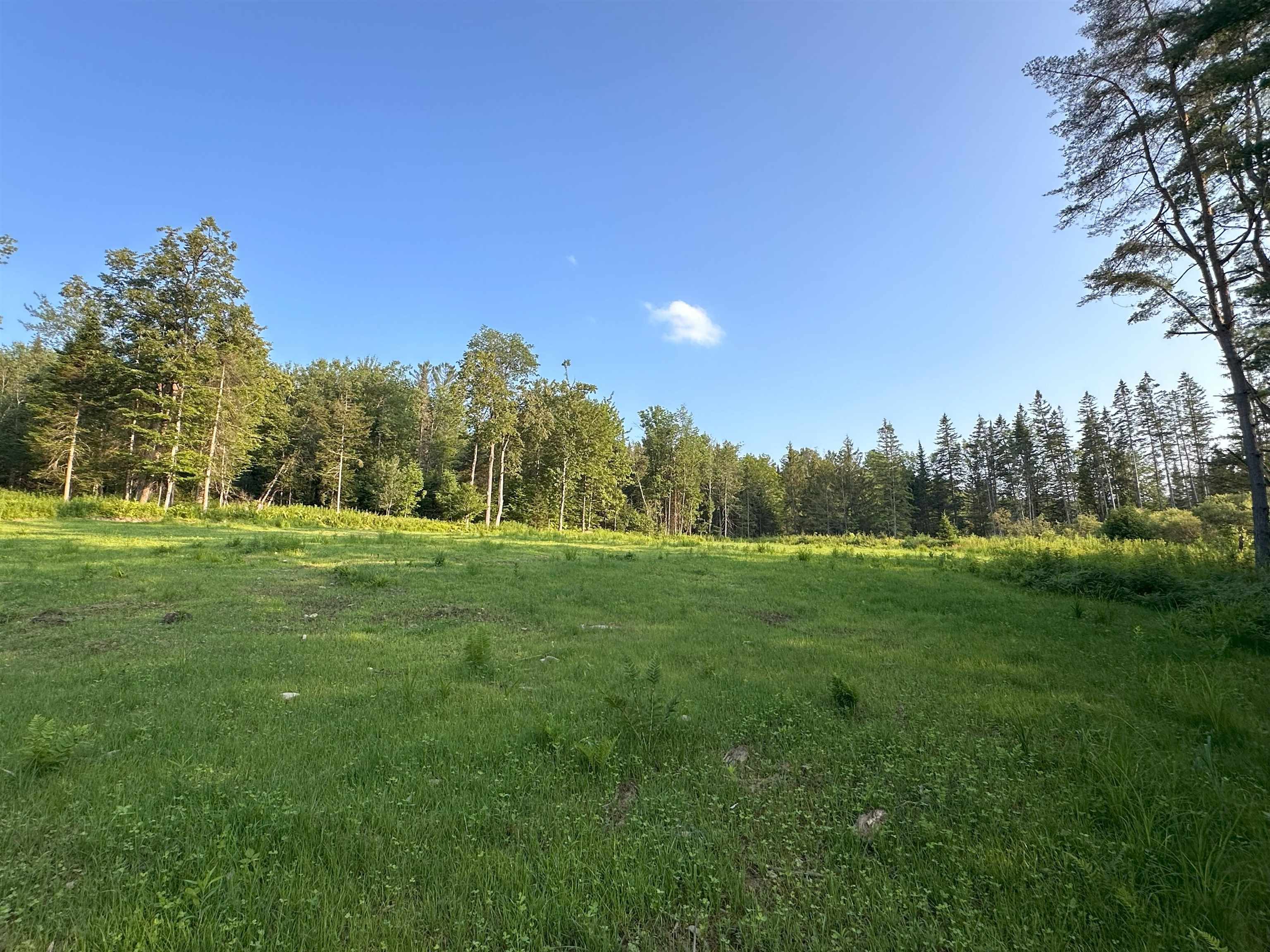 335 Calais Road Worcester, VT 05682 - Photo 31 of 31